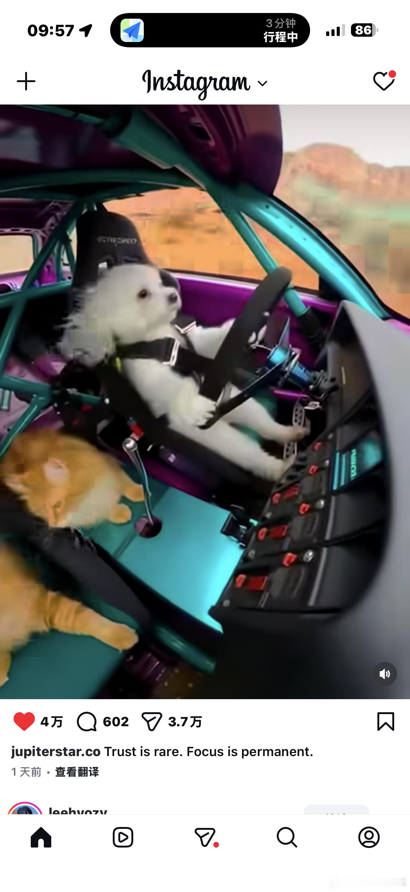 太抽象了道奇我与汽车的日常大v聊车