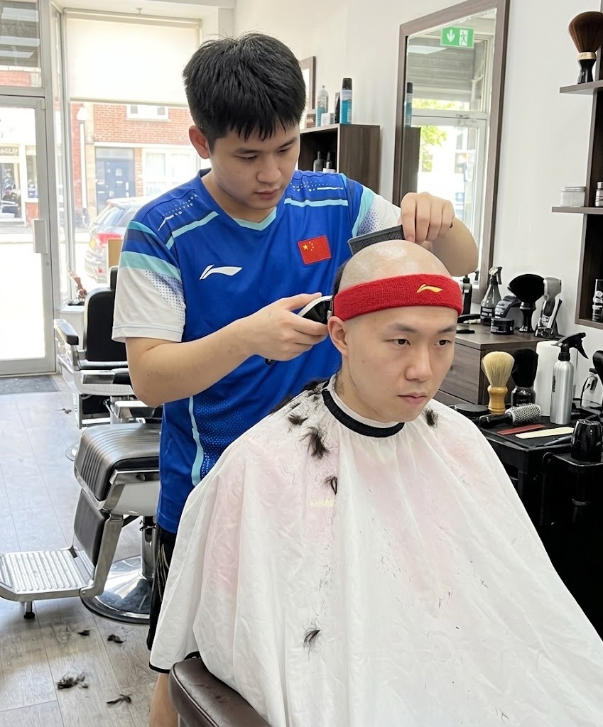 林诗栋 德国看麻了，网友恶搞林诗栋横扫王楚钦…… 林诗栋金牌 ​​​