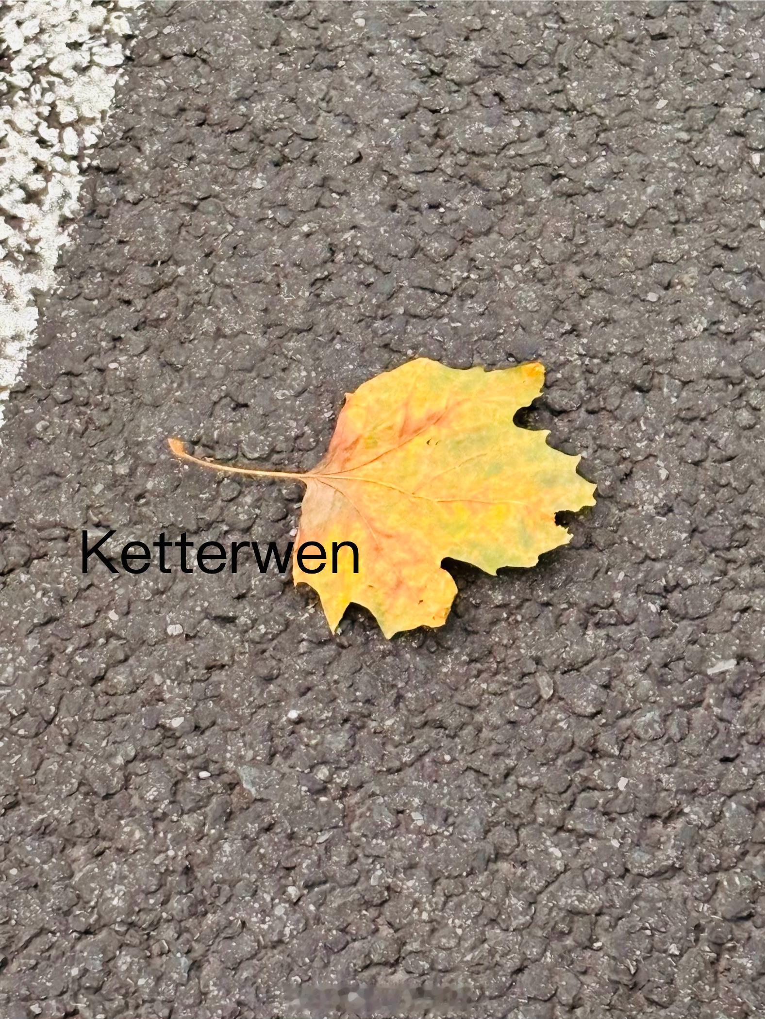 七月初一夏日の黃葉  专栏 · ketterwenの騎行紀錄