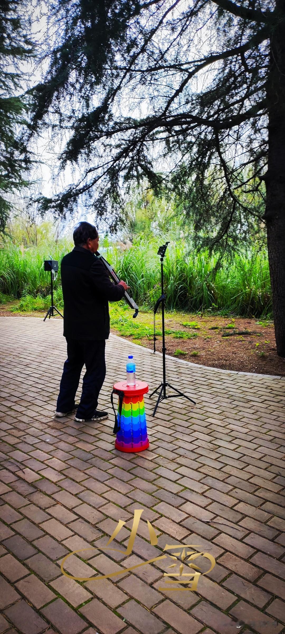 冬日生活随拍汉江湿地公园里的塔松林里，大爷陶醉的吹着电吹管。旋律是熟悉的老歌，就