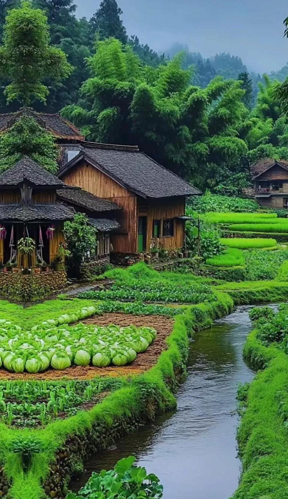 毛姆曾说：“你敬畏天理，他崇拜权威，这是世界观不同；你站在良知一边，他站在赢者一