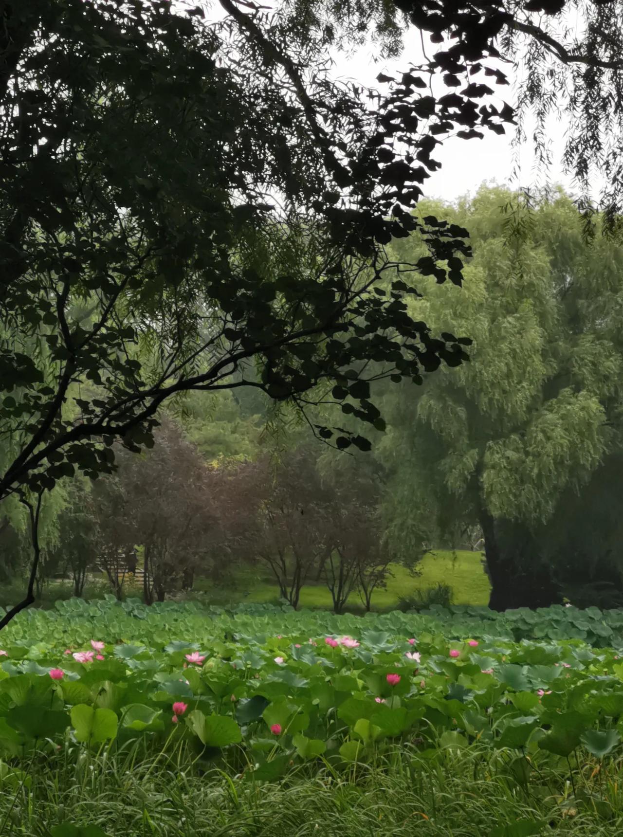 托尔斯泰曾经办学致力于民众教育，但在过程中他发现了让他憎恶的，于是他说了这样一段