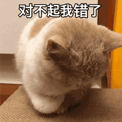 一边喝冰咖一边汗如雨下，一看今天39度。 ​​​