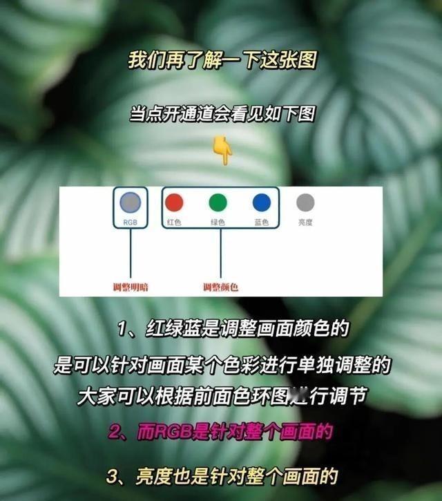 废片变胶片大片！Snapseed曲线一招鲜，学会你就修图自由了！ 照片导进手机，