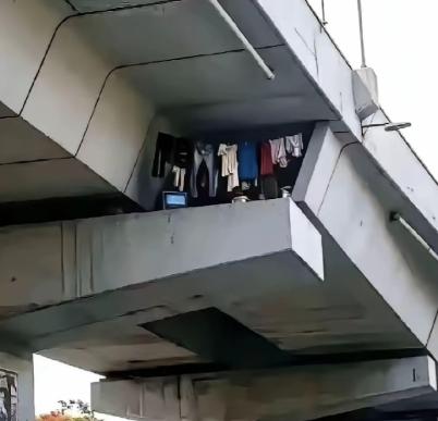 重庆，一男子乘坐 01 路公交途经城市高架，无意间抬头望向桥梁混凝土夹层时，突然