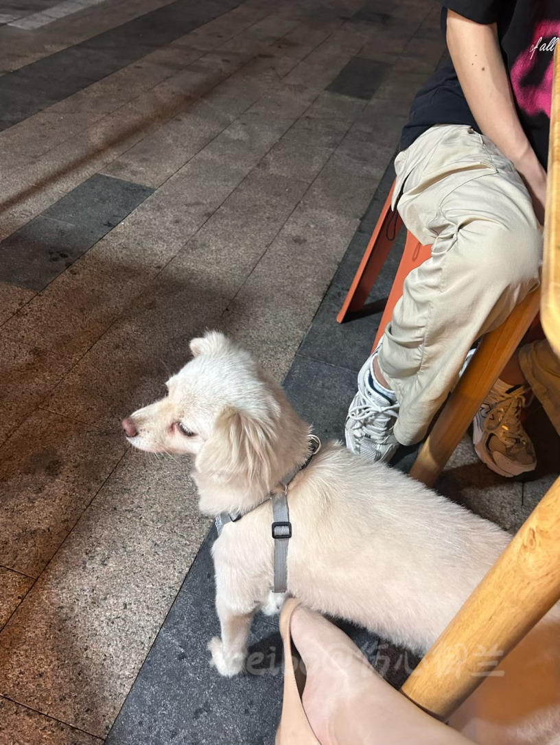 就想赖在我jo边不走嘛