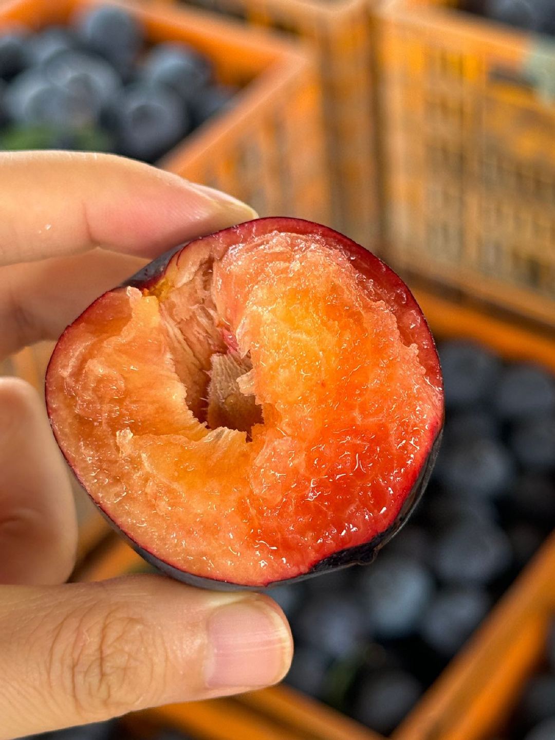 李子的高端品种，玫香·蜜李回归|升级顺丰包邮，自然成熟好味道，现摘现发，软后削皮