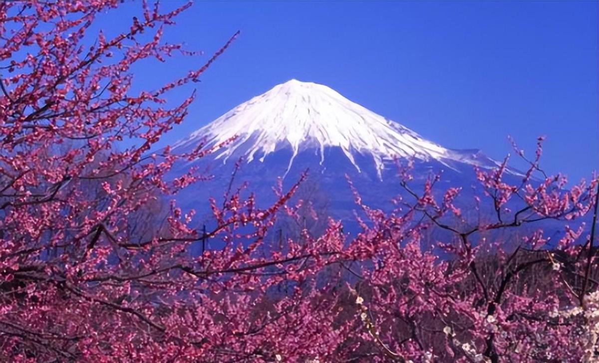 日本国歌仅有二十八个字，翻译成汉语后，是否能看出日本人究竟有多大的野心？
190