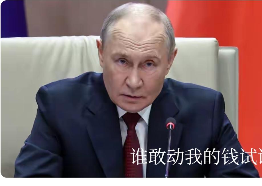 冯德莱恩这是铁了心要在冻结俄资产这事上一条道走到黑啊。先是提出新版没收方案，金额