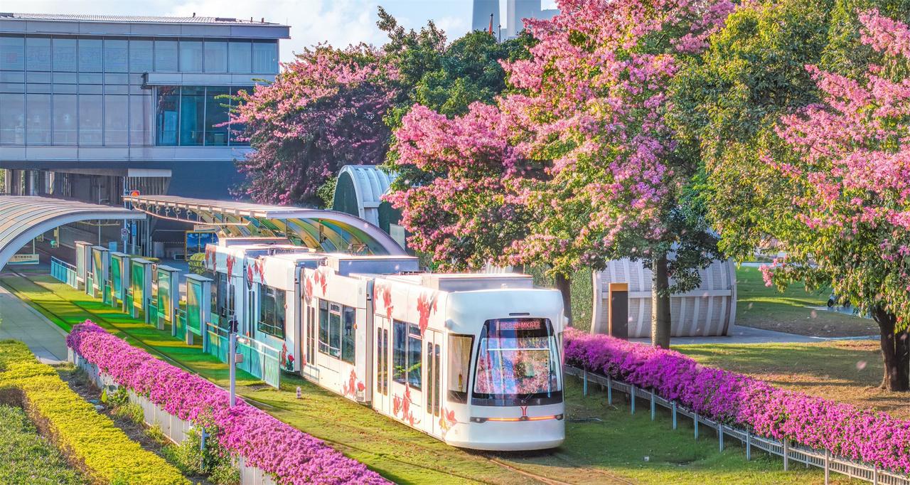 【冰城花信·暖遇广州】❄️

当松花江的雪吻上珠江畔的风，  
冰雕里竟开出了岭