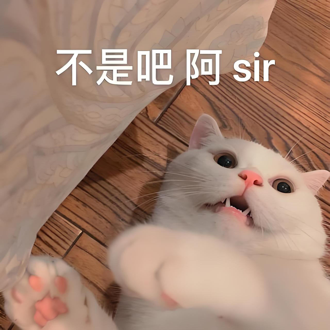 能看出字迹覆于手印之上的北宋宰相，难怪范仲淹、王安石都赏识他

1079年，参知