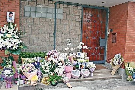 每年忌日门前一片花海他都会一 一 搬回屋里