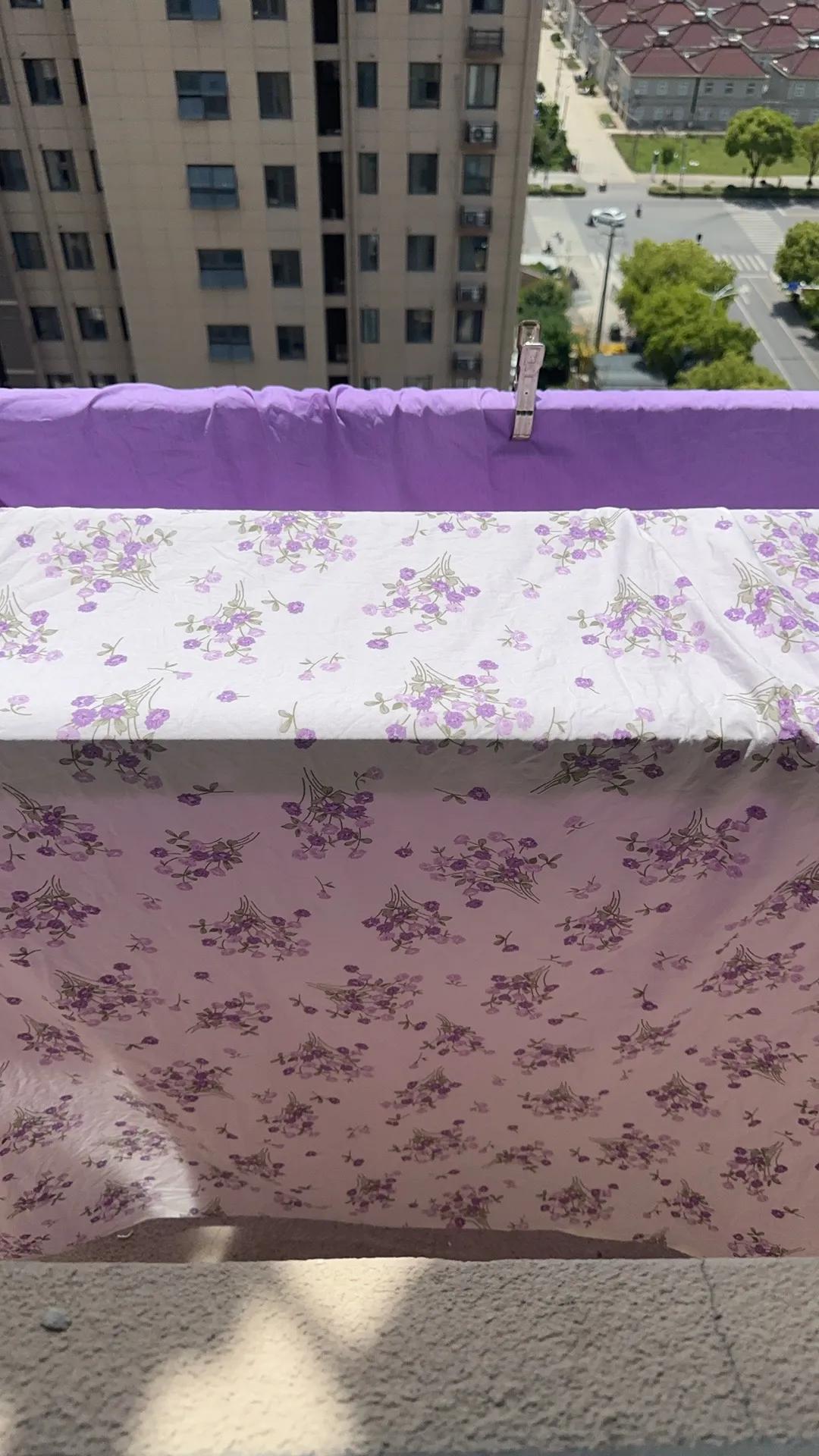 紫帘垂挂，窗外风景如画。