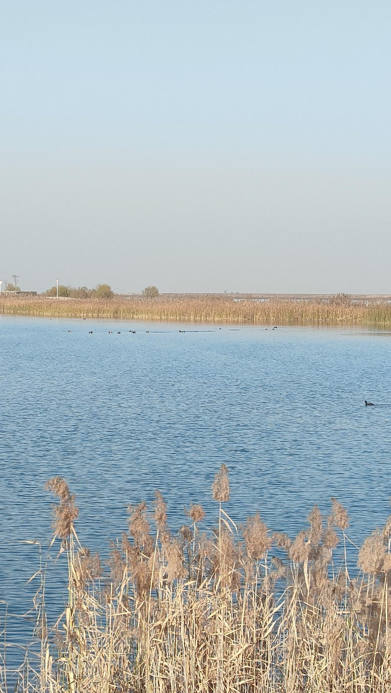 年终投资复盘。马上年底了，对今年投资进行了复盘，平均每月出手三次，最大的一笔投了