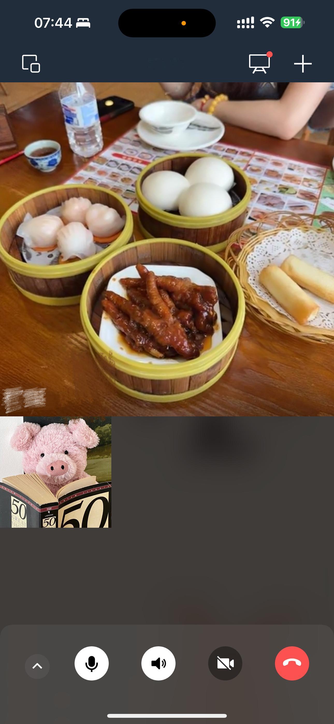 最近看鲨鲨吃东西真的超级馋这个广式早茶！！于是pyy和徐达琳、lwy就给我打视频