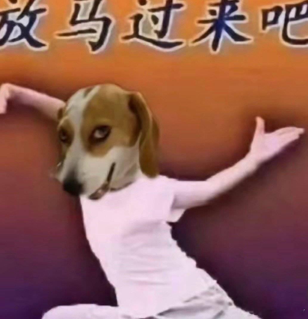 周五啦！！！姐妹们互相推文求类型文（言情）吧！！！ ​ ​​​