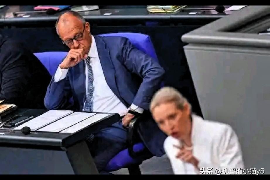 特朗普公开祝贺德国极右翼政党胜选，此举显然另有所图，这种唯恐局势不乱的行事风格，