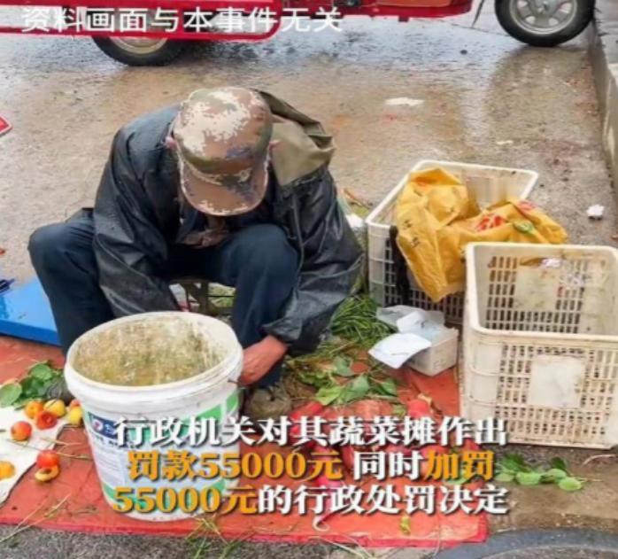 罚款不成，还想“抄家”！2023年，洛阳，一大爷卖菜赚21元，被罚110000元