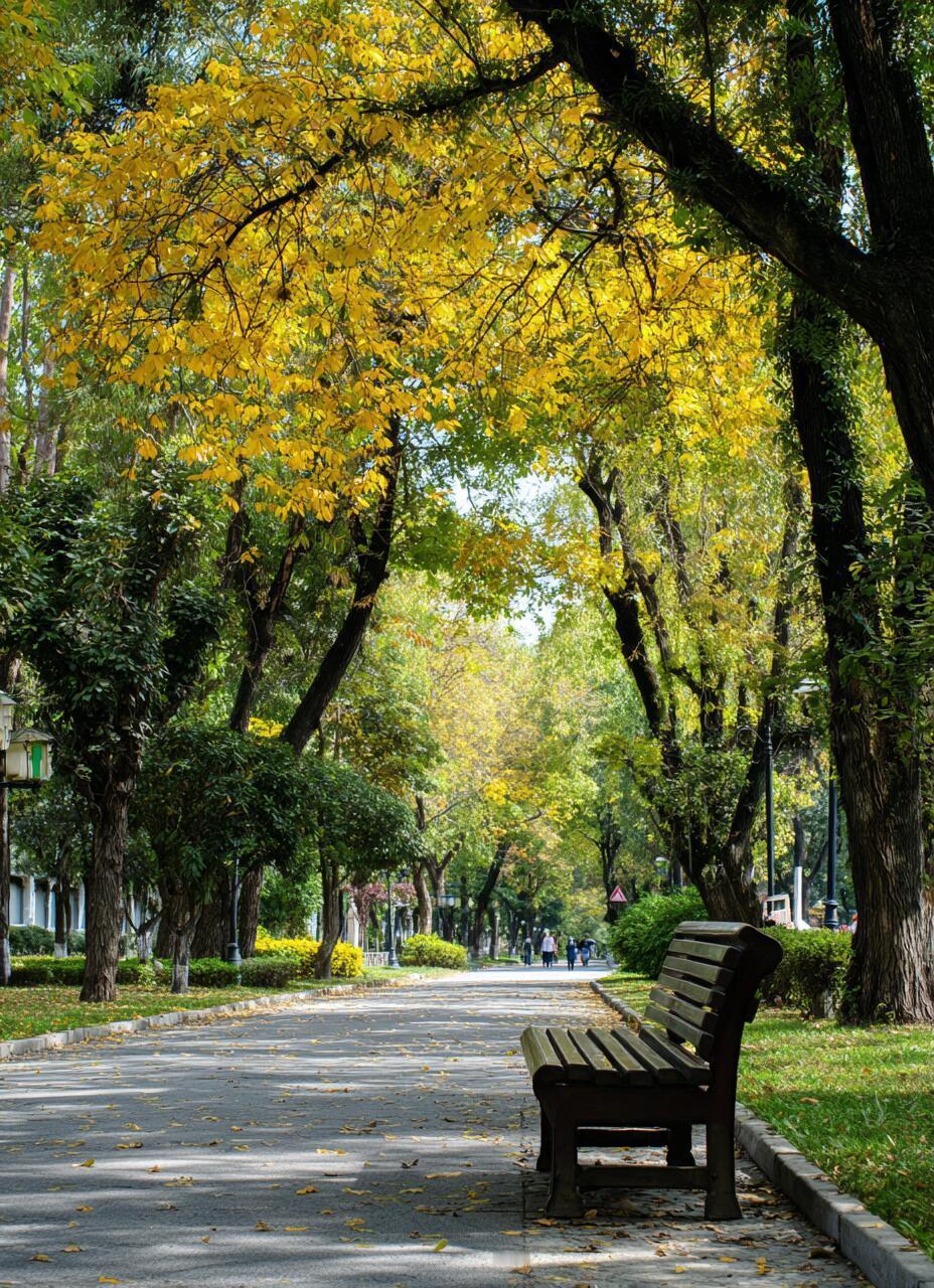 48小时摧毁9架贩毒飞机！
委内瑞拉这波操作，
简直是把被动棋局下成了主动出击的