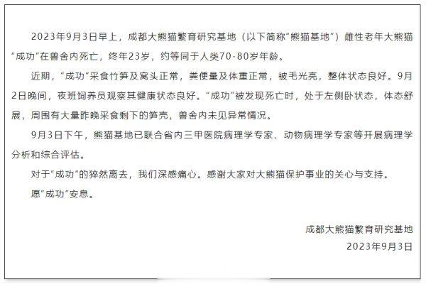 #大熊猫花花的妈妈死亡#【23岁大熊猫“成功”在兽舍内死亡！系顶流熊猫“花花”之