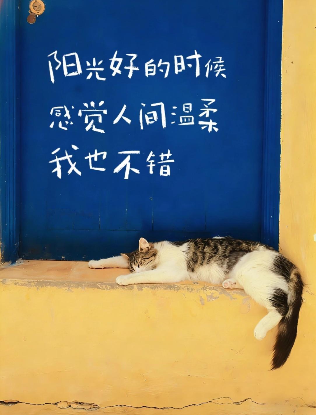 我将早早醒来，
贿赂来日，
请它待我们好些。

——耶胡达·阿米亥

今天读到的