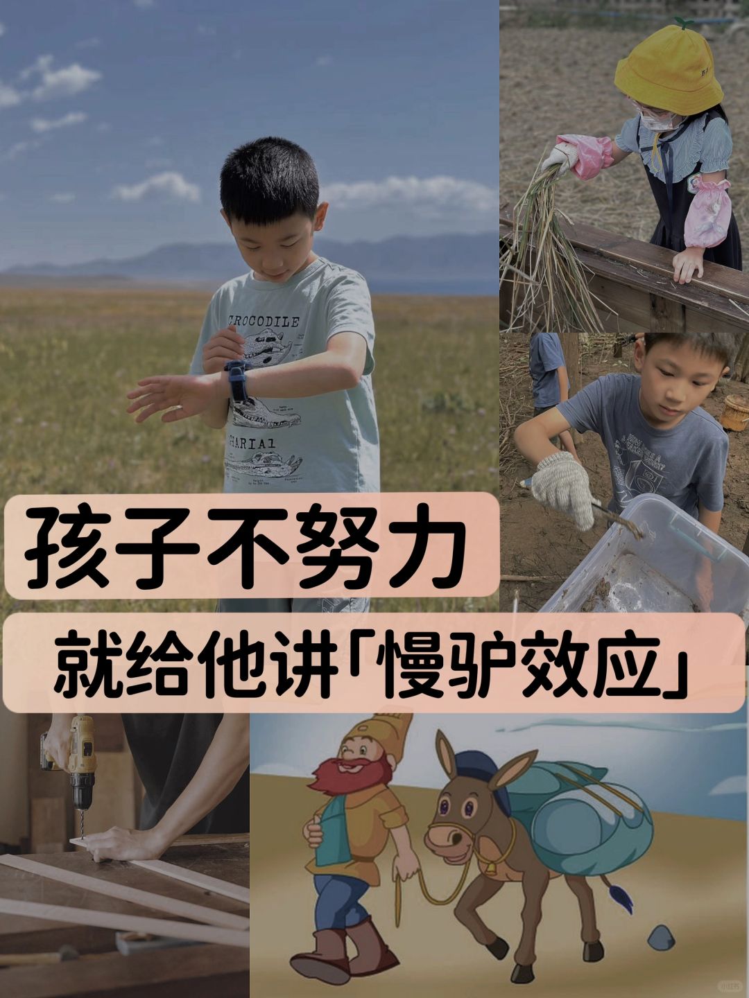 董宇辉：孩子躺平不努力，给他讲“慢驴效应”