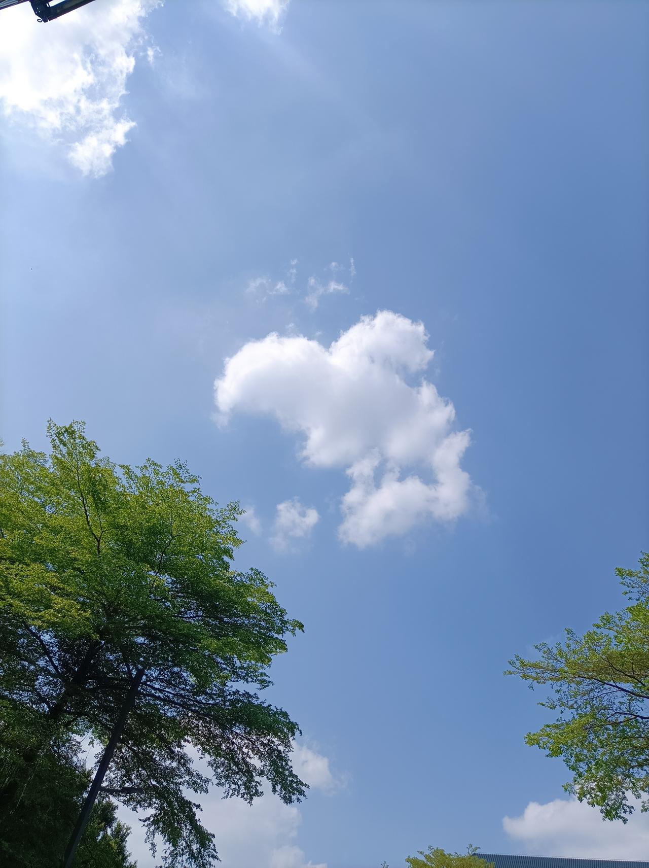 随手拍一张天空照这几朵白云是不是太神奇了，像一只鸟儿在天上飞！天空真神奇！