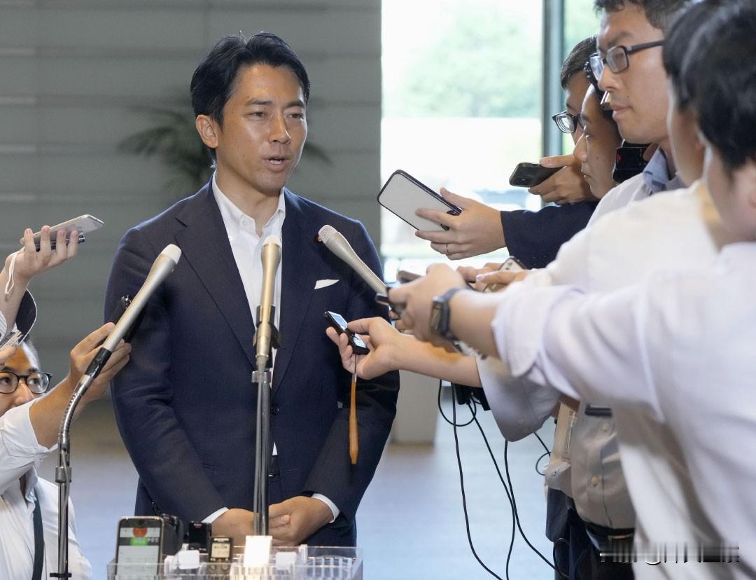 日本防长小泉进次郎搞了个“东南亚排座次”，越南第一，菲律宾第二。常年跟日本穿一条