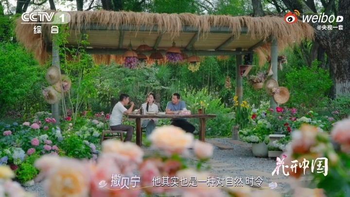 古人把花吃出了花 古人吃花脑洞开，樱花腌酸藏坛内，梅花泡酒香飘外。苏轼一写煎花篇