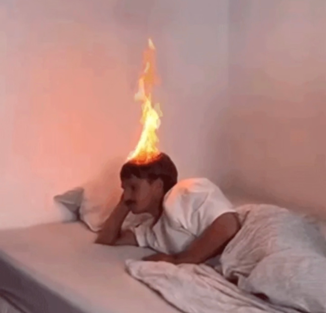 盒马错发水仙女子索赔375万降至48万 虽然我分的出来水仙和百合。但是你给我送水