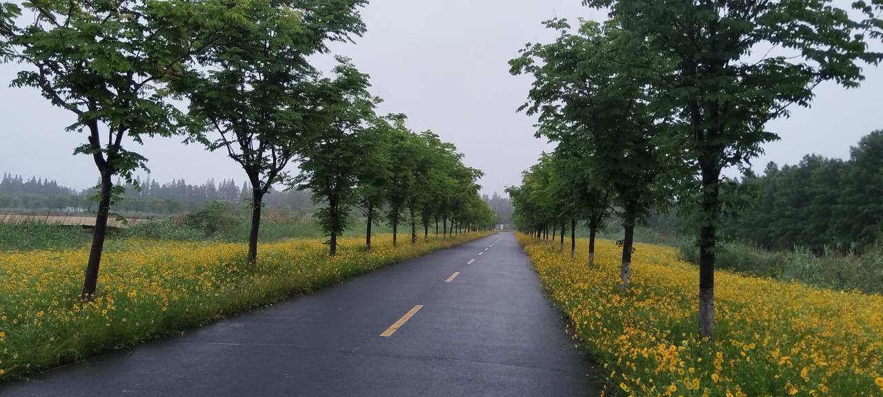 分享一张你最近拍的花