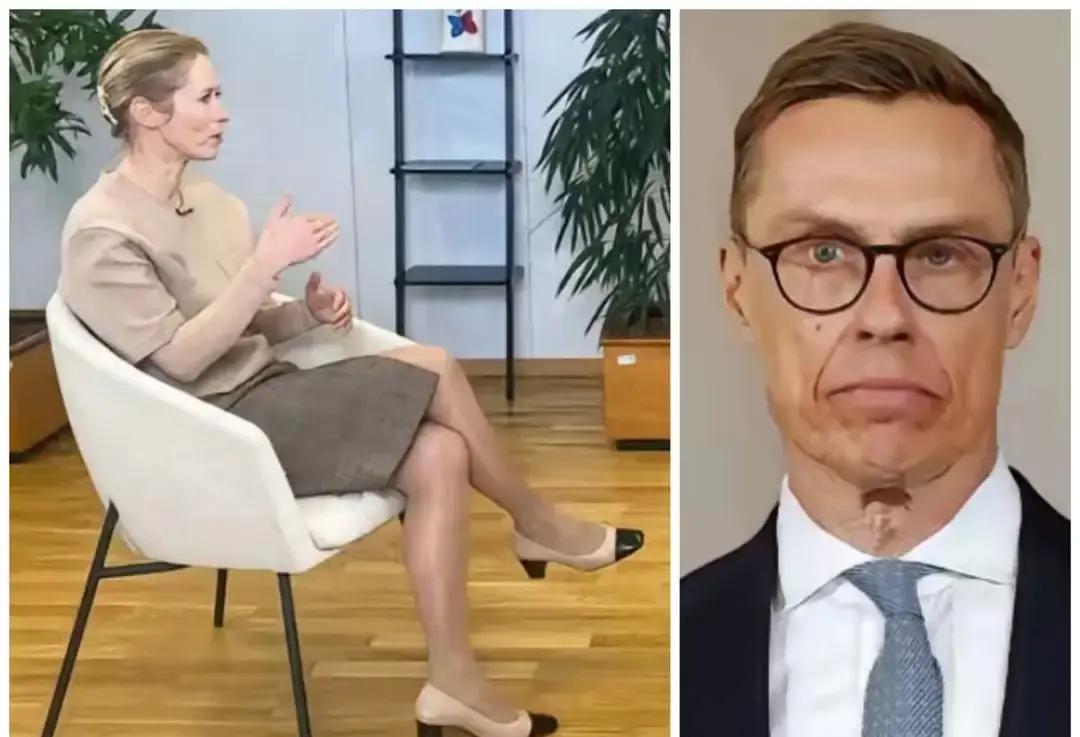 习惯瞎说的卡拉斯碰到梅马也得熄火，真没辙了！芬兰自由联盟党成员阿曼多·梅马对欧盟