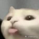 早上好～分享一个你最喜欢喝的咖啡吧～大电竞分享