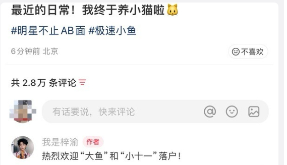 梓渝养的猫叫大鱼和小十一梓渝猫的名字名字里藏着生活的小美好，能看出梓渝对毛孩子的