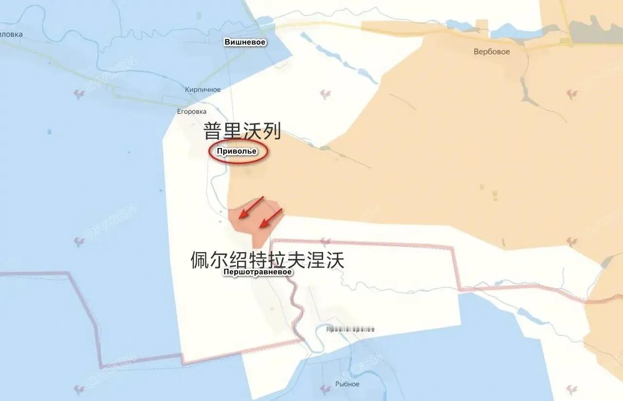 俄军东部集群第36集团军第37独立近卫摩步旅的突击队在占领第聂伯罗彼得罗夫斯克州