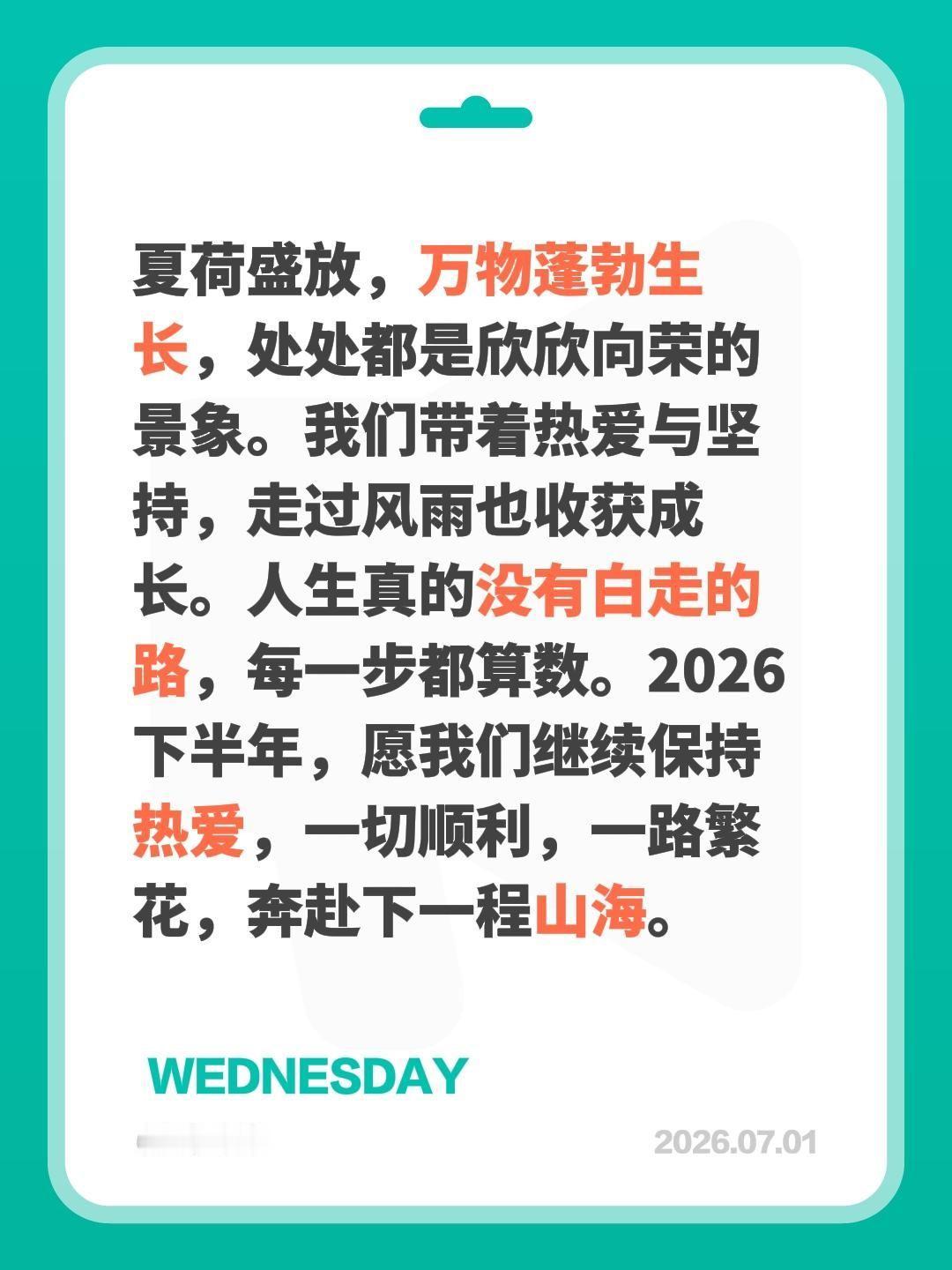 夏荷盛放，万物蓬勃生长，处处都是欣欣向荣的景象。我们带着热爱与坚持，走过风雨也收