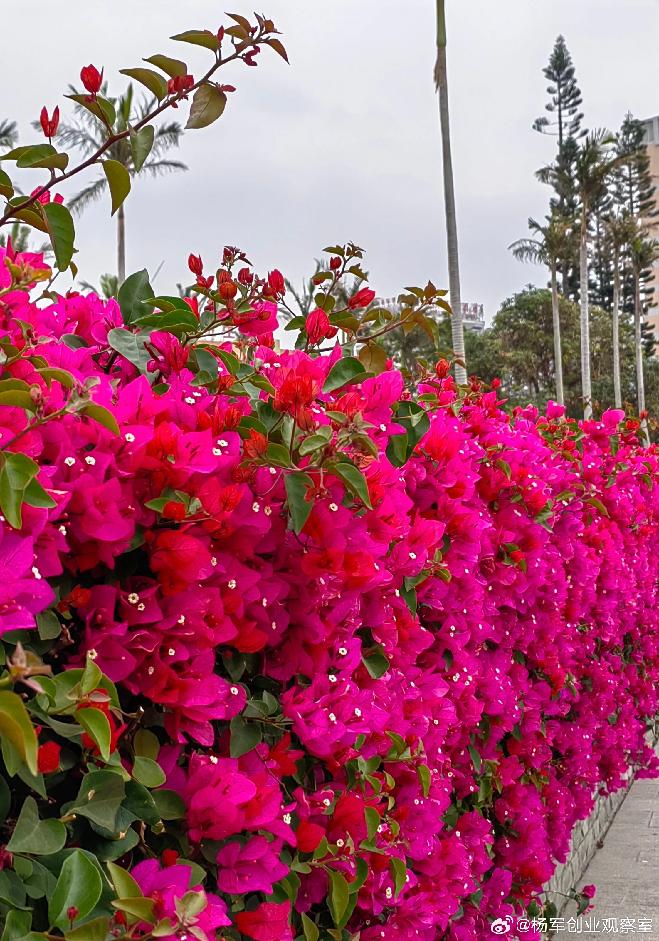 诚意分股，效果却短且平，甚至陷入“给与不给”的两难。你公司的股权激励失效？你缺的