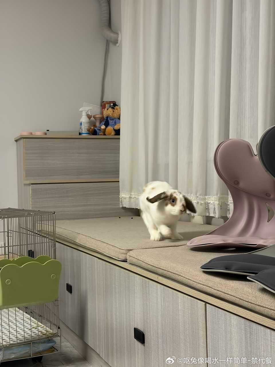 14530🐇【心灵丑】小岁咬我。。。小岁好可爱。。。小岁咬我。。。小岁好可爱。
