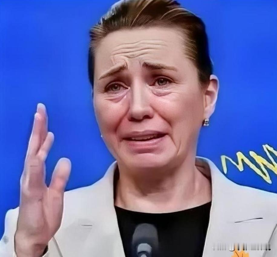 丹麦政府痛恨中国，丹麦的外交大臣拉斯穆森表示，过去不允许中国对格陵兰岛投资，现在