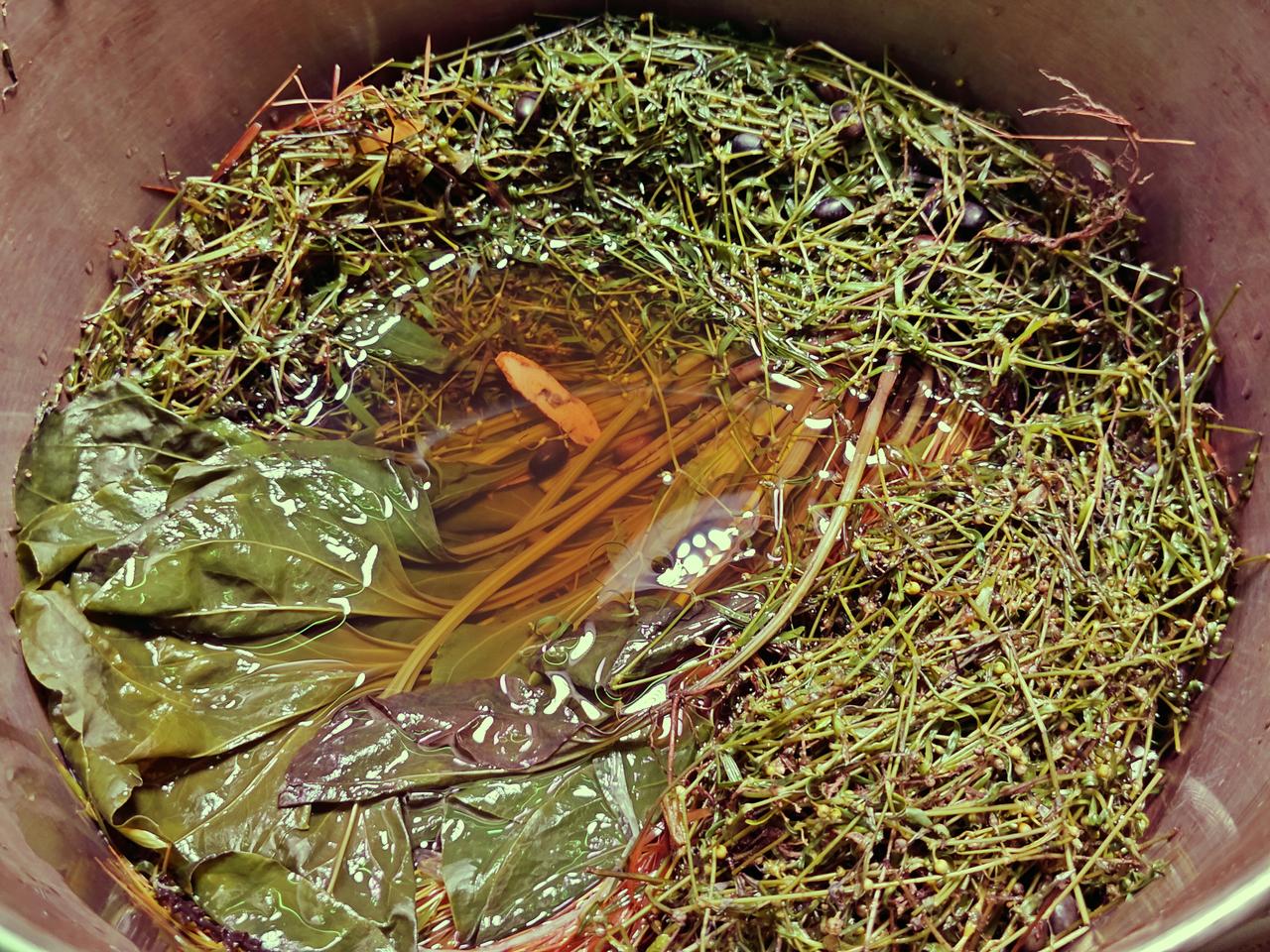 潮汕食杂店赠饮的凉茶，并不简单：黑豆、车前草、白花蛇舌草，还加了甘草[微风]。夏