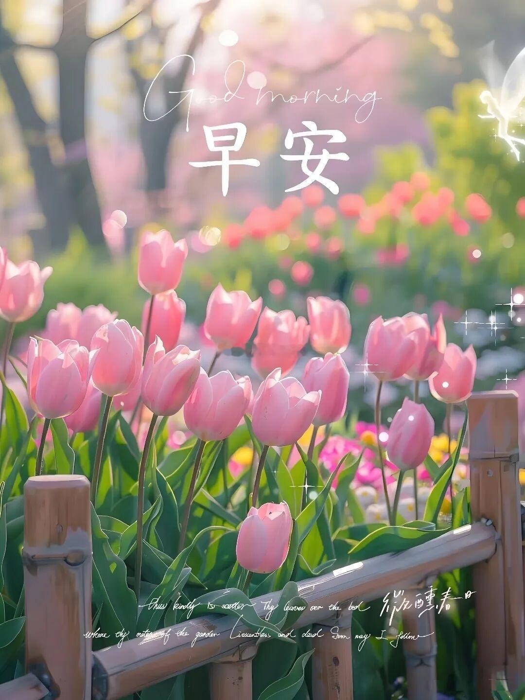 牛马早安！身体和灵魂总有一个在搬砖，加油！岑先生