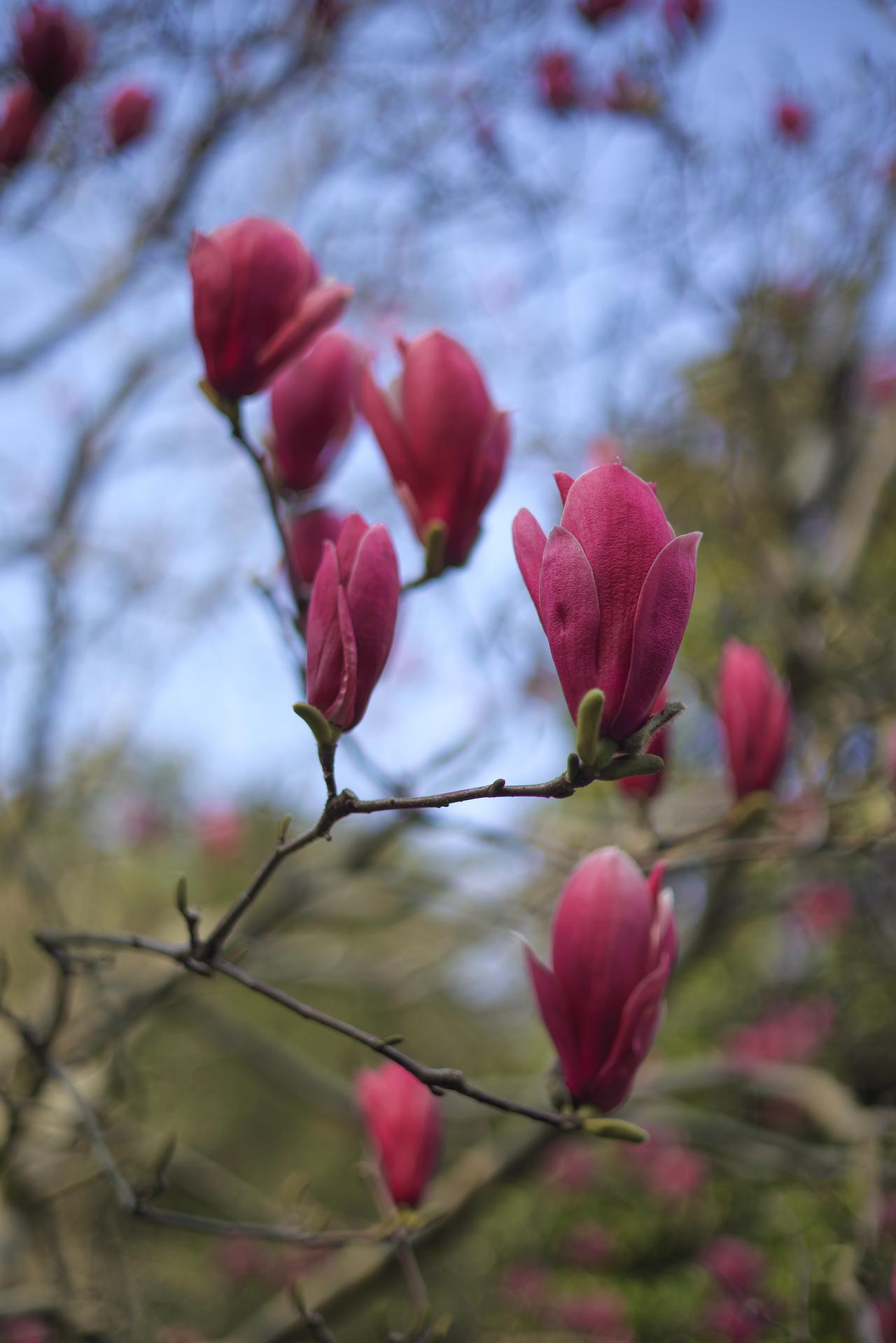 我一直持有红利类，自由现金类基金，刚好符合HALO的模样。
这段时间的表现，确实