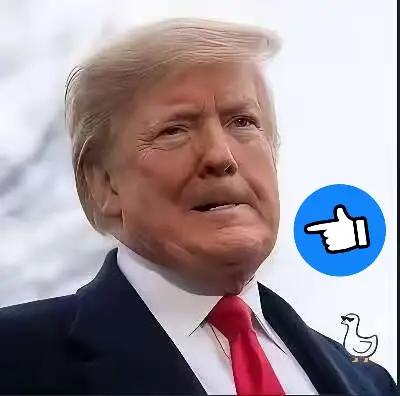 自圆其说！17日，特朗普发文称，盟友不愿卷入军事行动，并不意外，因为北约是条“单