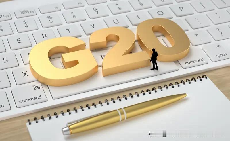 搞事的毒苗在G20上可算是忙坏了！

近期的G20峰会热闹非凡，而日本政客高市早
