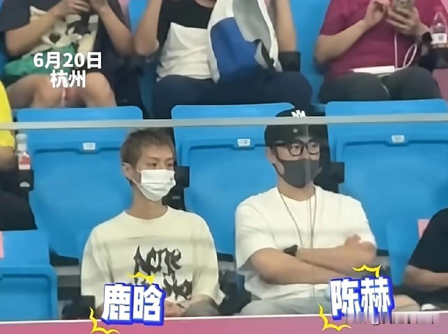 全国游泳冠军赛杭州赛场观众席上有网友拍到两个熟悉的身影，鹿晗和陈赫居然低调现身，