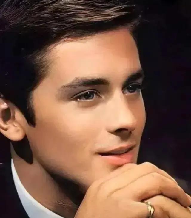 银幕上的“颜值天花板”：阿兰·德龙，用魅力征服了一个时代
 
他可不是普通的帅哥