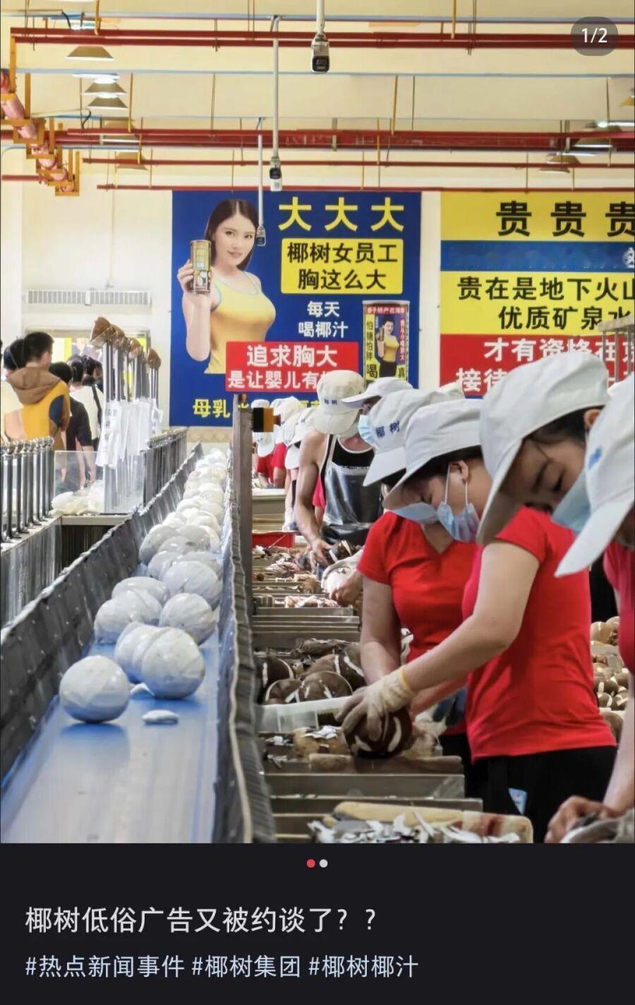 椰树这次真是在擦边的路上“栽了跟头”。春节期间椰树工厂开放日，吸引了过万名游客。