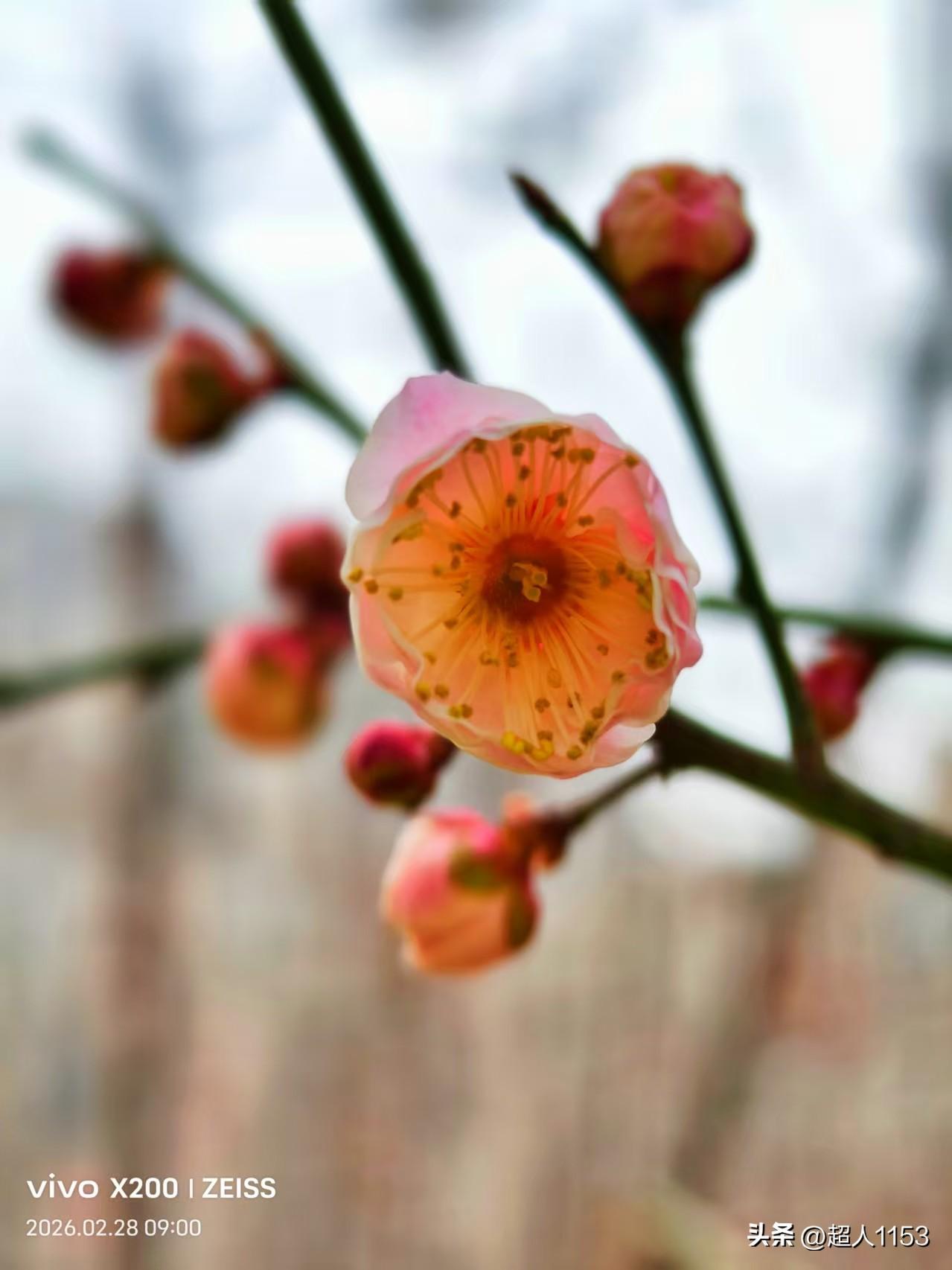 春天生活来打卡，
骏马启程已完成。

参加春日打卡季，
分享生活的点滴。

春天