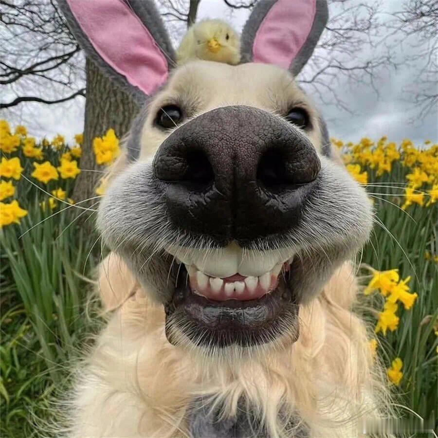 原来做完饭要等几分钟再关油烟机 谁和我一样才知道这个知识点！做完饭等几分钟关油烟