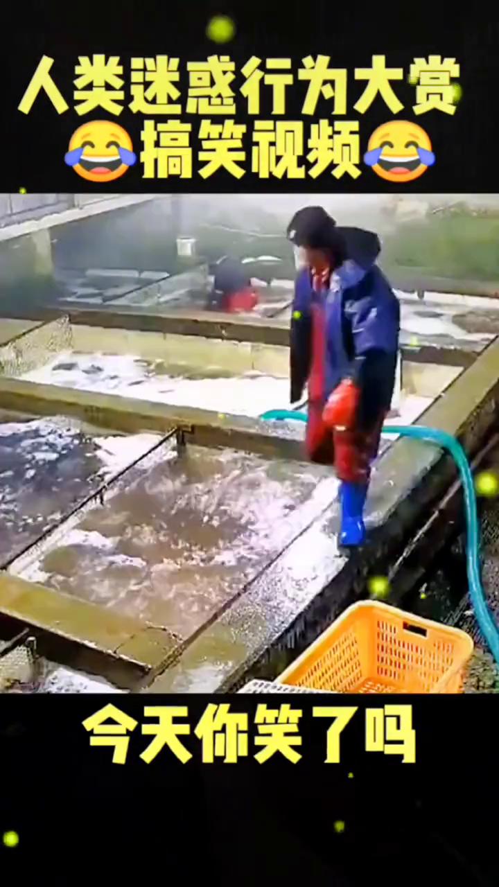 哎呦我的妈，哈哈哈哈。